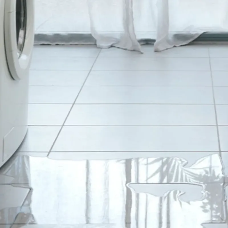 Appliance Leak Cleanup in Weweantic, MA