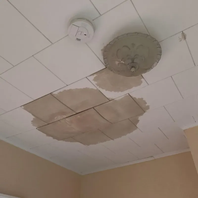 Ceiling Water Damage Repair in Weweantic, MA