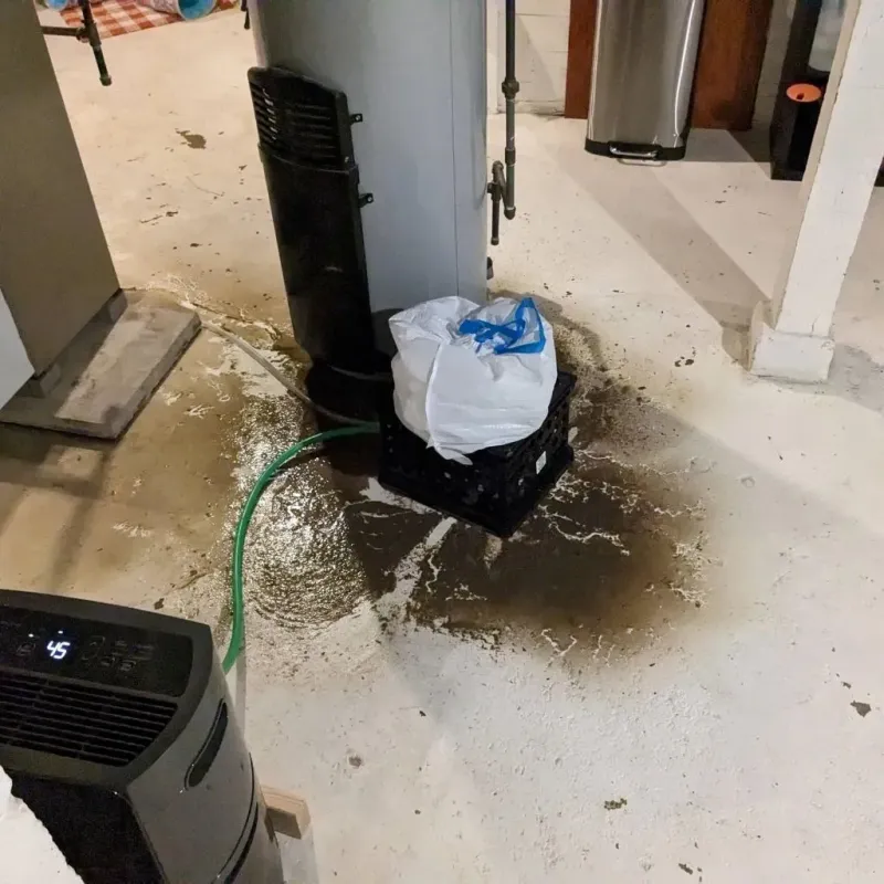 Sewage Backup Cleanup Service in Weweantic, MA